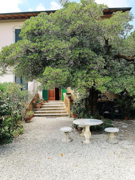Just Outside The Wall: Free A/C, Bikes And Wifi Lucca Exterior photo